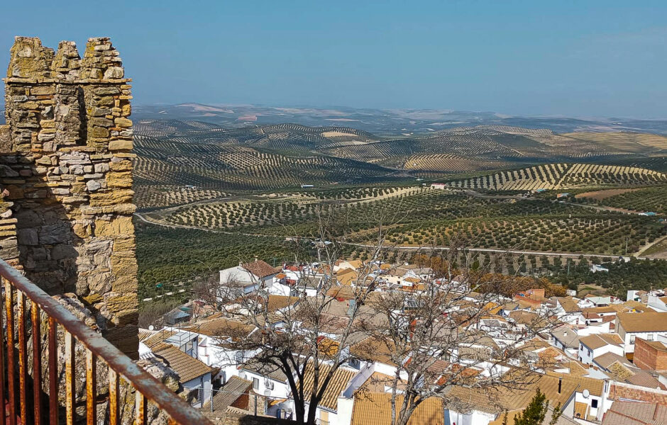 castillo de espejo