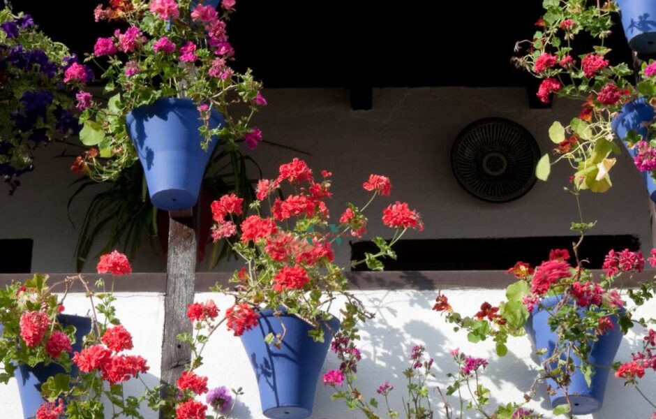 patios de cordoba