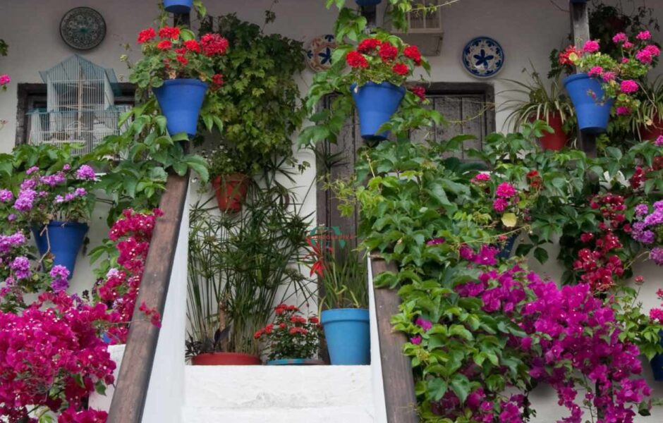 patios de cordoba
