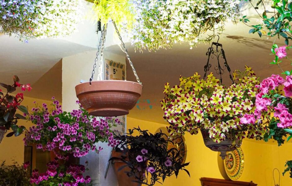 patios de cordoba