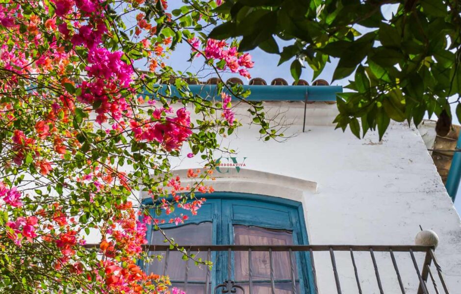 patios de cordoba