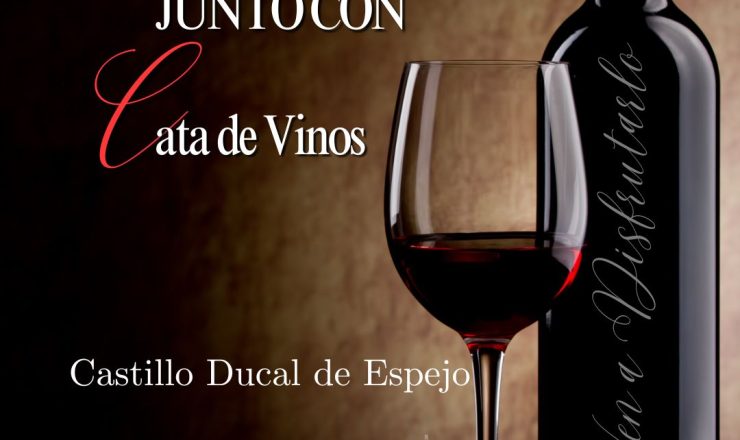 cata de vinos